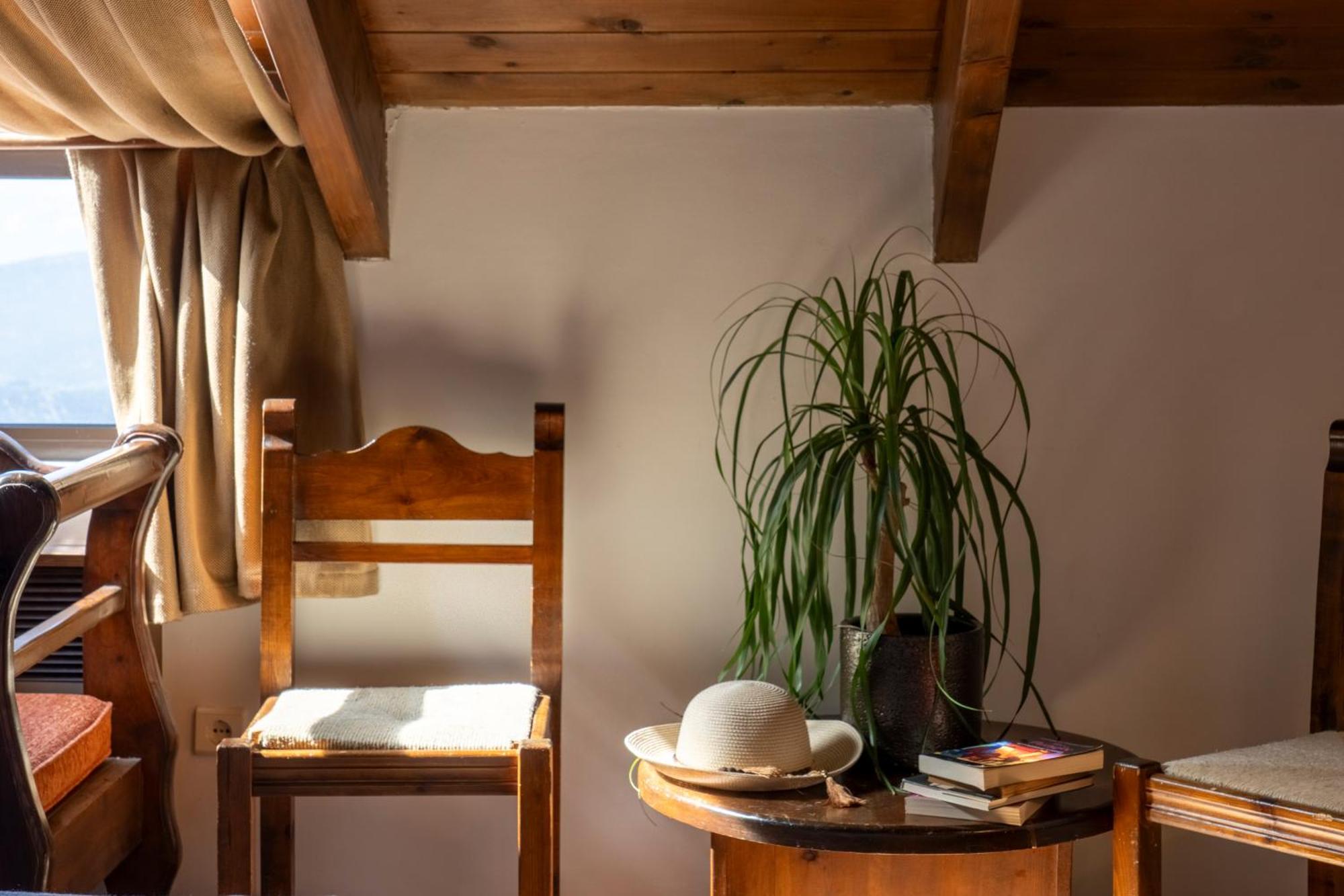 Domotel Anemolia Mountain