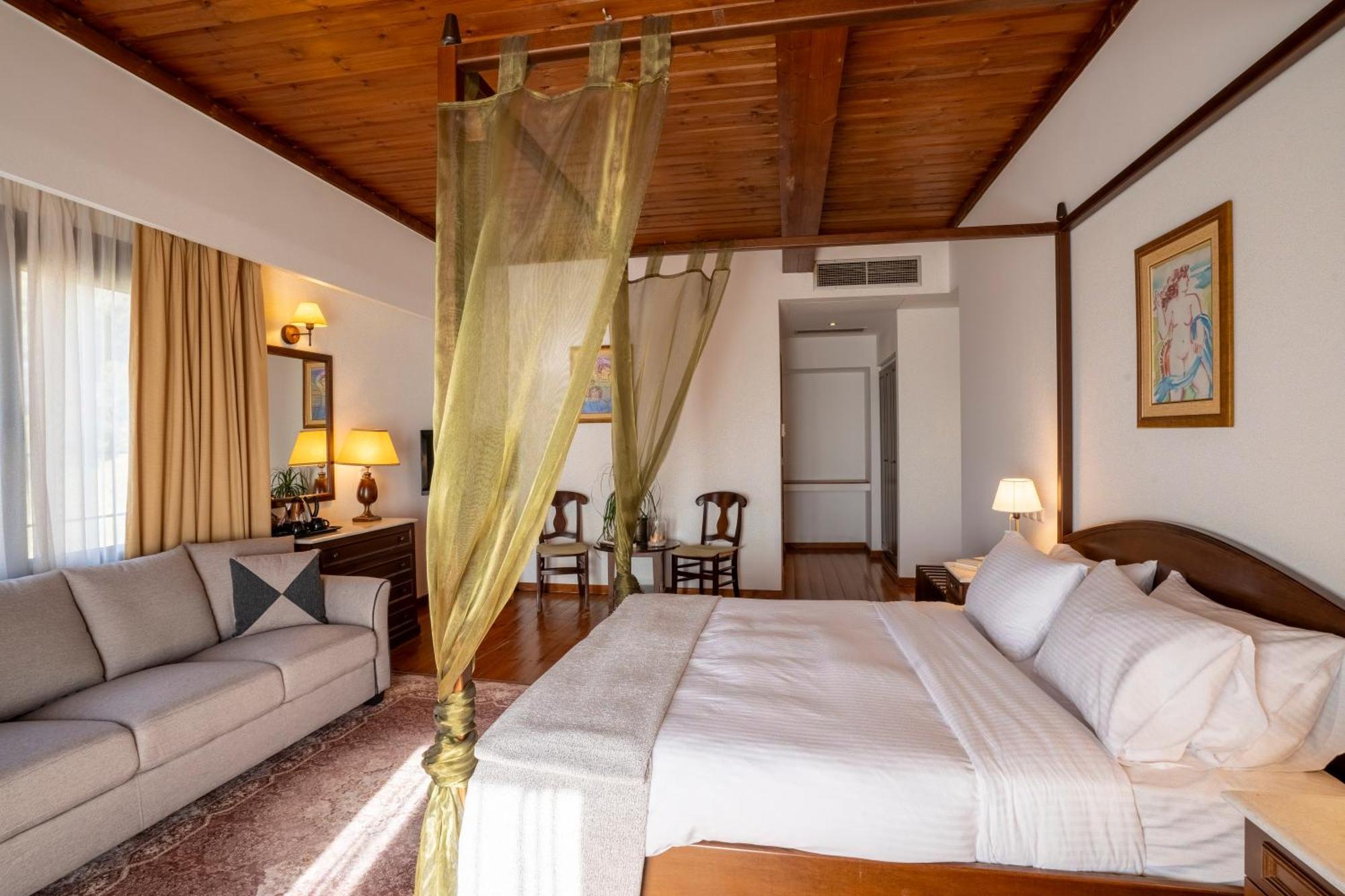 Hotel Domotel Anemolia Mountain 4*
