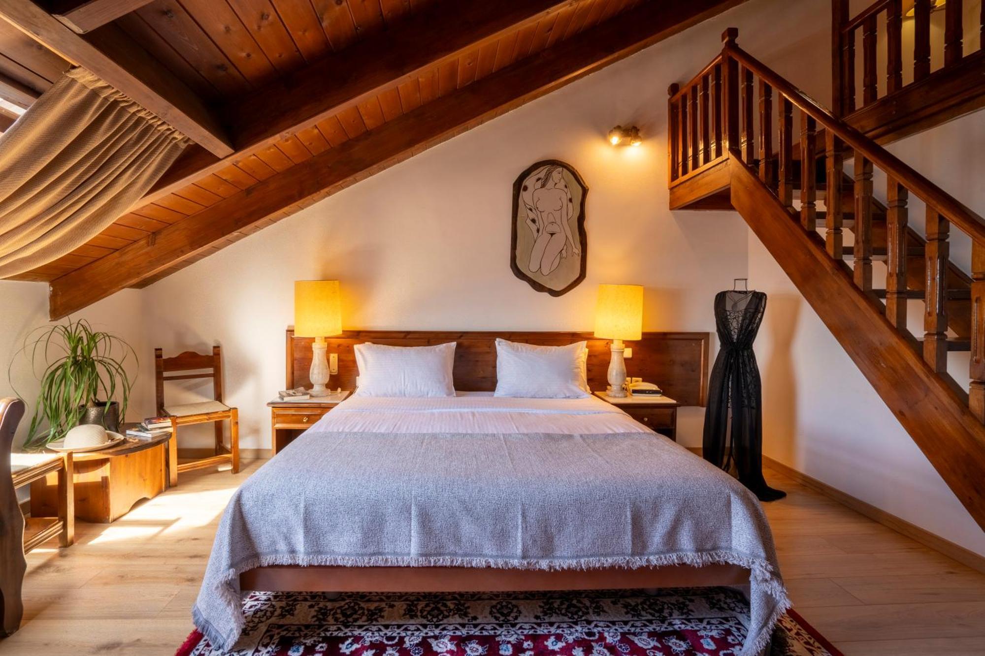 Domotel Anemolia Mountain 4*